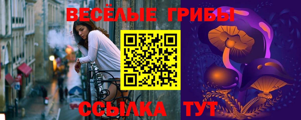 Псилоцибиновые грибы MAGIC MUSHROOMS Коряжма